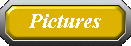 Pictures